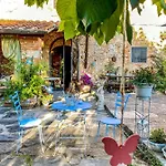 Antico Frantoio Pietrasanta Marina di Pietrasanta