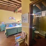 Antico Frantoio Pietrasanta Konukevi Marina di Pietrasanta