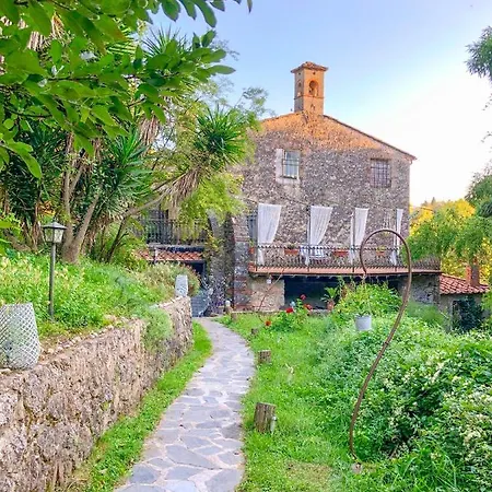 ゲストハウス Antico Frantoio Pietrasanta 4*