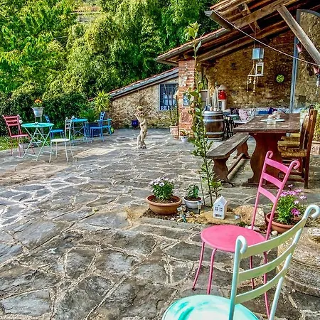 ゲストハウス Antico Frantoio Pietrasanta 4*