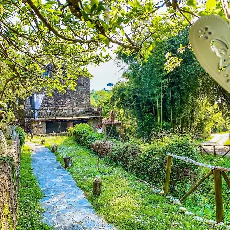 ゲストハウス Antico Frantoio Pietrasanta 4*