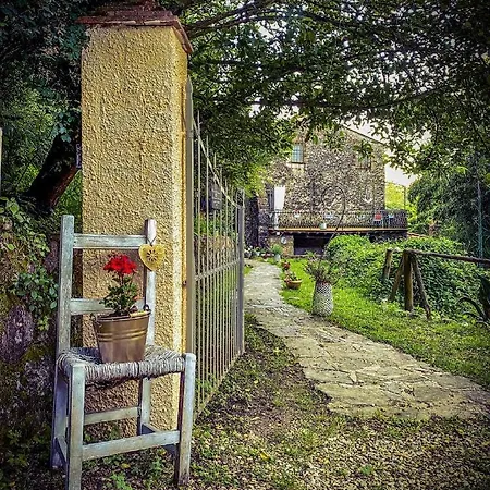 Antico Frantoio Pietrasanta ゲストハウス