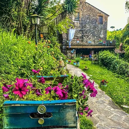 Antico Frantoio Pietrasanta