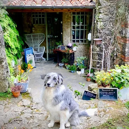 Antico Frantoio Pietrasanta マリーナ・ディ・ピエトラサンタ