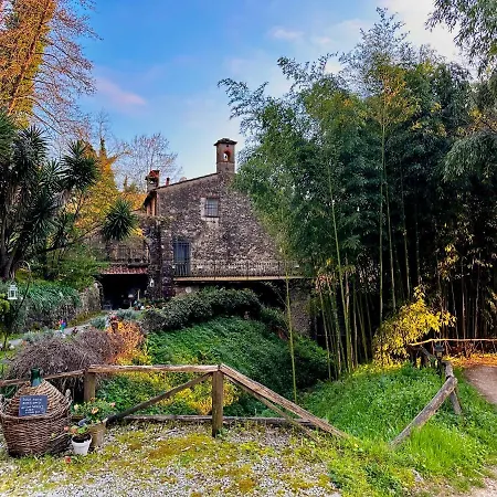 Гостьовий будинок Antico Frantoio Pietrasanta