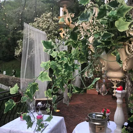 ゲストハウス Antico Frantoio Pietrasanta 4*