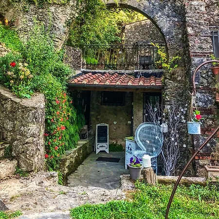 Antico Frantoio Pietrasanta Vendégház Marina di Pietrasanta