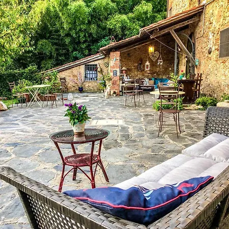 Antico Frantoio Pietrasanta Marina di Pietrasanta