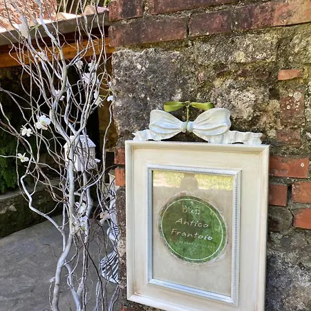 Guest house Antico Frantoio Pietrasanta