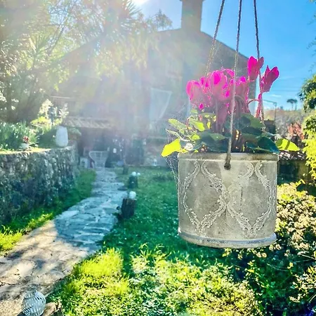 Antico Frantoio Pietrasanta Vendégház Marina di Pietrasanta