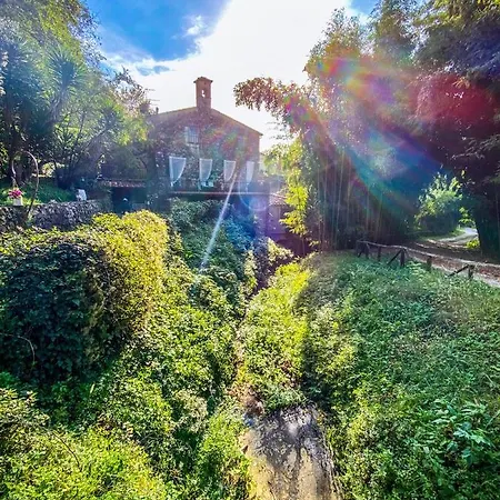 Antico Frantoio Pietrasanta Vendégház Marina di Pietrasanta