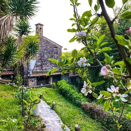 Antico Frantoio Pietrasanta 4*