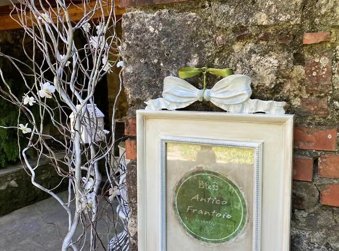 Gasthuis Antico Frantoio Pietrasanta