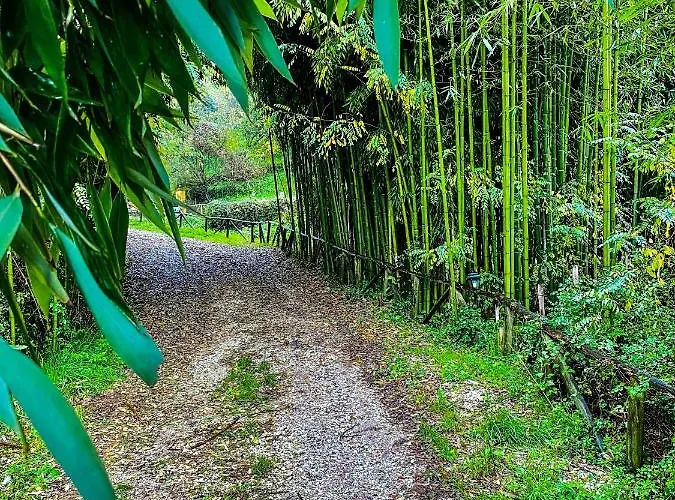 Antico Frantoio Pietrasanta 4* مارينا دي بييتراسانْت