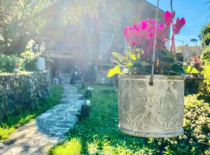 Antico Frantoio Pietrasanta 招待所 马里纳-迪-皮特拉桑塔