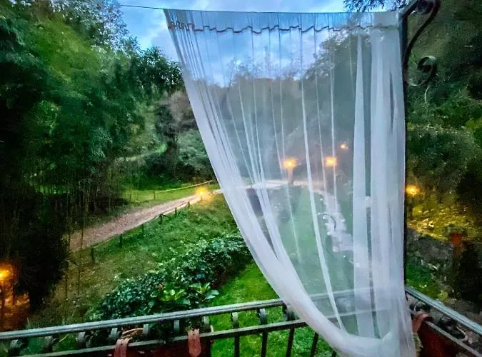 招待所 Antico Frantoio Pietrasanta 马里纳-迪-皮特拉桑塔