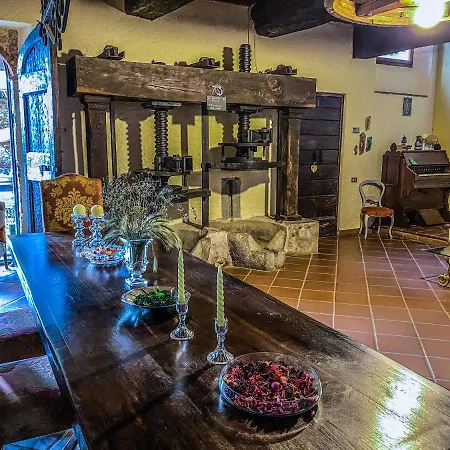 Antico Frantoio Pietrasanta