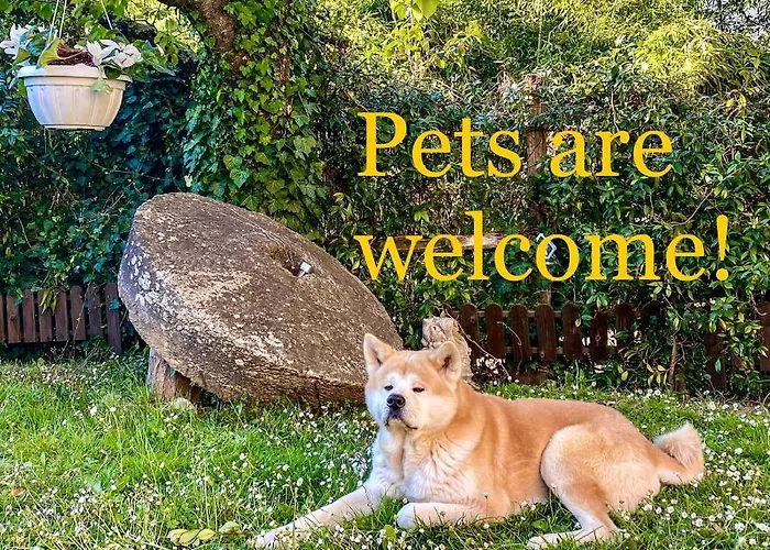 Antico Frantoio Pietrasanta Marina di Pietrasanta