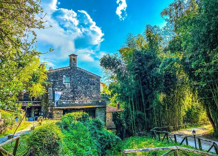 Antico Frantoio Pietrasanta Marina di Pietrasanta