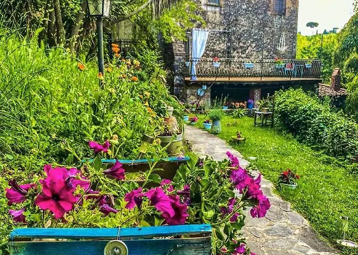 Antico Frantoio Pietrasanta