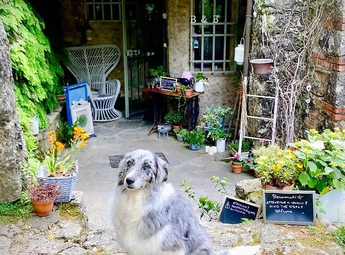 Antico Frantoio Pietrasanta Marina di Pietrasanta